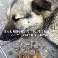 足を怪我していた…