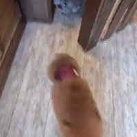 お迎えに行ったら…