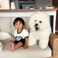 ぬいぐるみのようなむぎくん