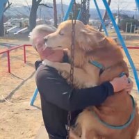 一緒にブランコに乗る投稿主と大型犬