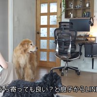チャイムが鳴ったら…