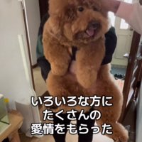 とっても人懐こいわんこに♪