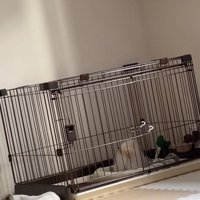 「？」がいっぱい