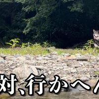 川にやってきたすみすみちゃん