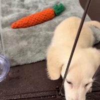 「え…どういうこと？」