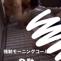 モーニングコール発動