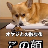 ものすごく不満そうなお顔！
