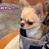 「ここ病院じゃん！騙された…」