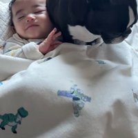 こんぶちゃんと赤ちゃん7