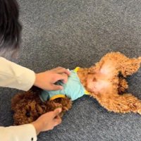 平和な光景にホッコリ