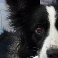 赤ちゃんのズボンを脱がせたら…