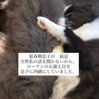 サプライズを実行！！