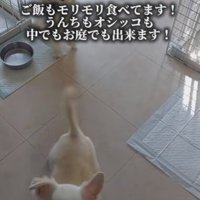 新しい暮らしに馴染んできた