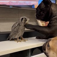 仲良くなりたい…！