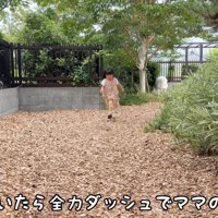 女性に向かって駆けてくる女の子