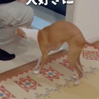 ラブ業者さん！！