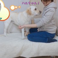 きなこちゃんとママさんの再会7