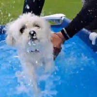 ハッ