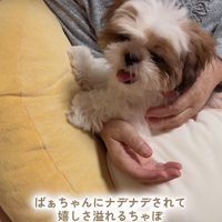 おばあちゃんの腕の中に収まる
