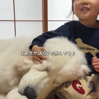 遊ぶ女の子に寄り添う