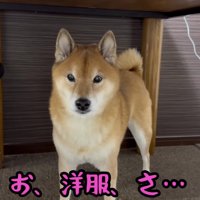 散歩前に防寒着を着させたい！！