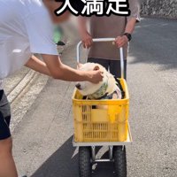 みんなのナデナデを堪能