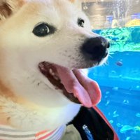初めて尽くしの水族館
