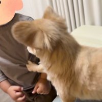もう一度誘おうとしたら、手が当たって…