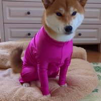 体が細くなっちゃった！！