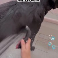 普段はしっかり洗うよ♪