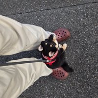 歩けない