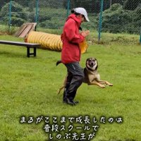 笑顔のまる君