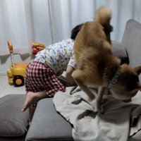 ソファに登る男の子