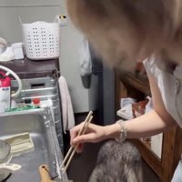 飼い主さん「！？」