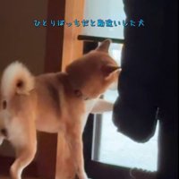 リクくんにハプニング発生