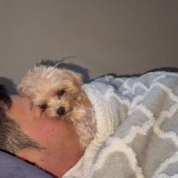 隣で寝ているパパを見たら…