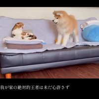 引き続きブチギレ！！