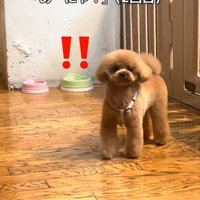 気付いてくれました！
