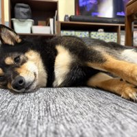 ウトウト