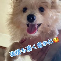 みるみる表情が豊かに…