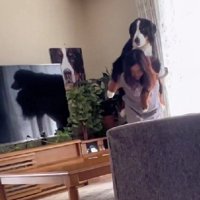 テチテチテチ…♪