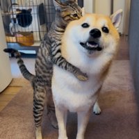 仲良し