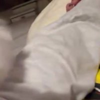 体調が優れず寝ていたら…