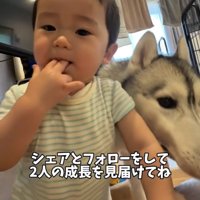 ぴったり並んで過ごす犬と赤ちゃん