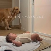 ちゃんと見てるよ
