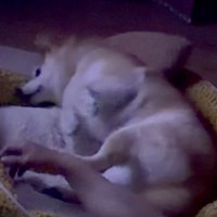 「まったくもう～」