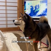 口を開くしゅんくん