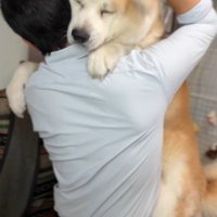 撫でられると目を細めて…