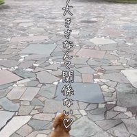 飼い主さん、愛情たっぷりです