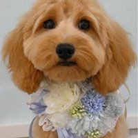 新入りのえんちゃん♡
